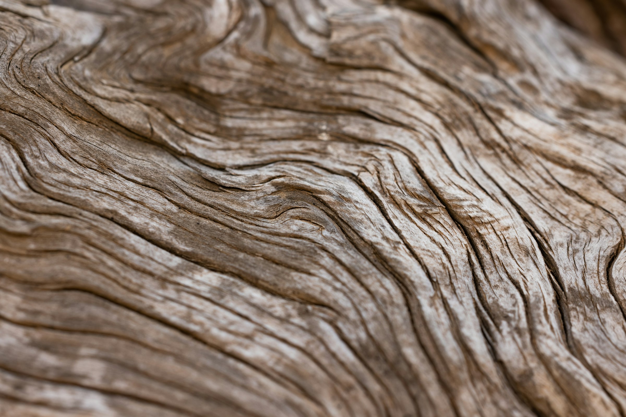 Natural wood grain flooring texture
